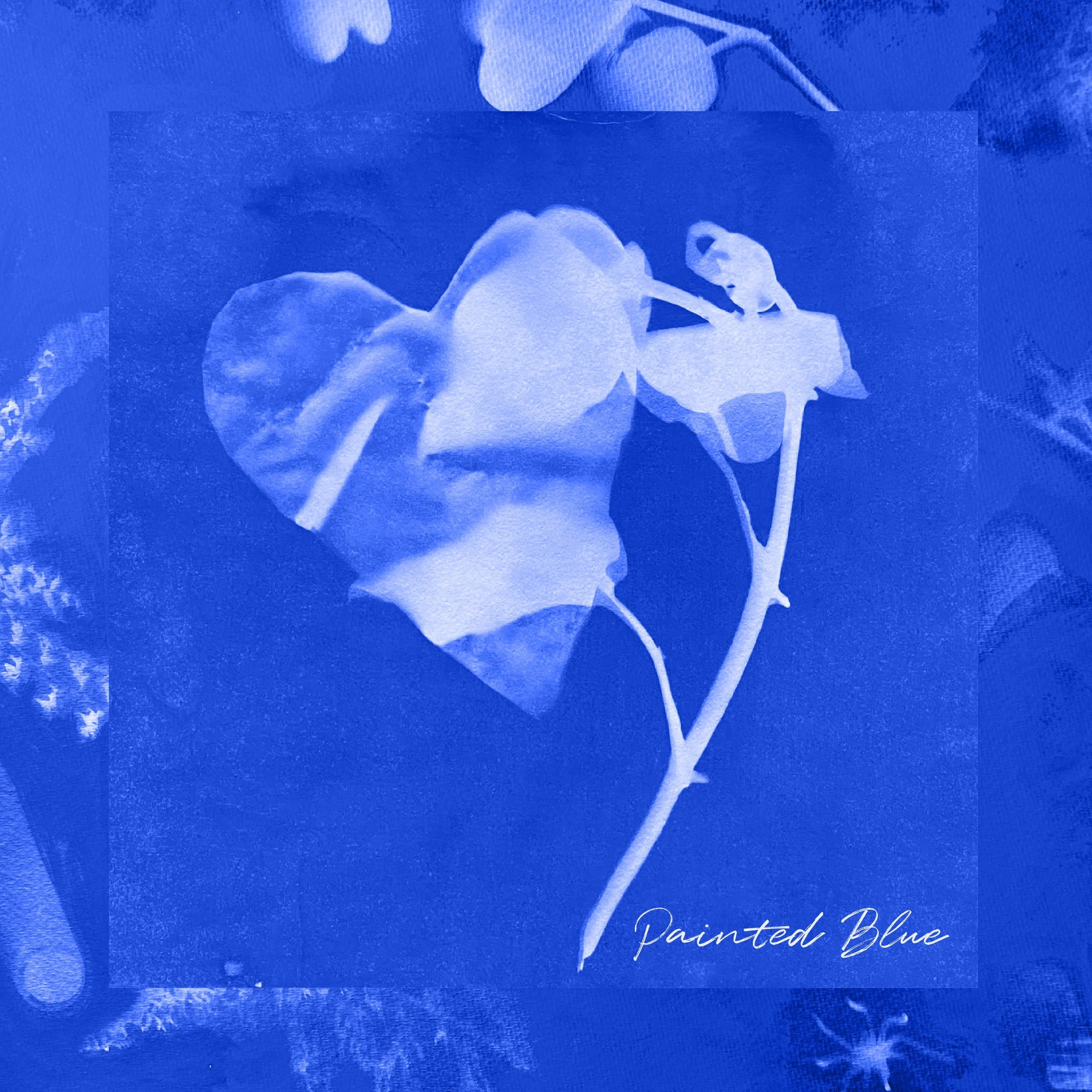 Painted Blue CD + Digital Download — Nick Harley